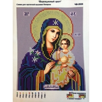Света Мария, Юма - 518