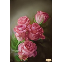 Roseo, ТК - 049 Roseo, ТК - 049