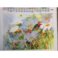 Полски цветя, S-035 Полски цветя, S-035