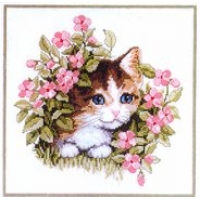 Коте сред цветя 