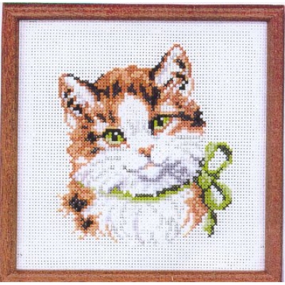 Коте с панделка 