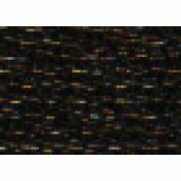 E310 