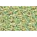 00313 