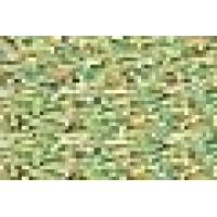 00313 