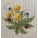 Бродерия без рамка 07 - 42.00 BGL/ 21.47 EUR